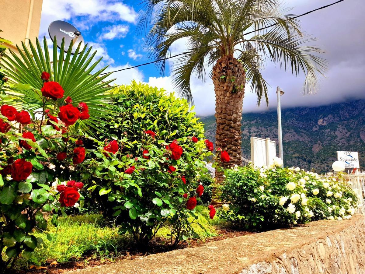 Hotel Bokeljski Dvori Kotor Exteriör bild